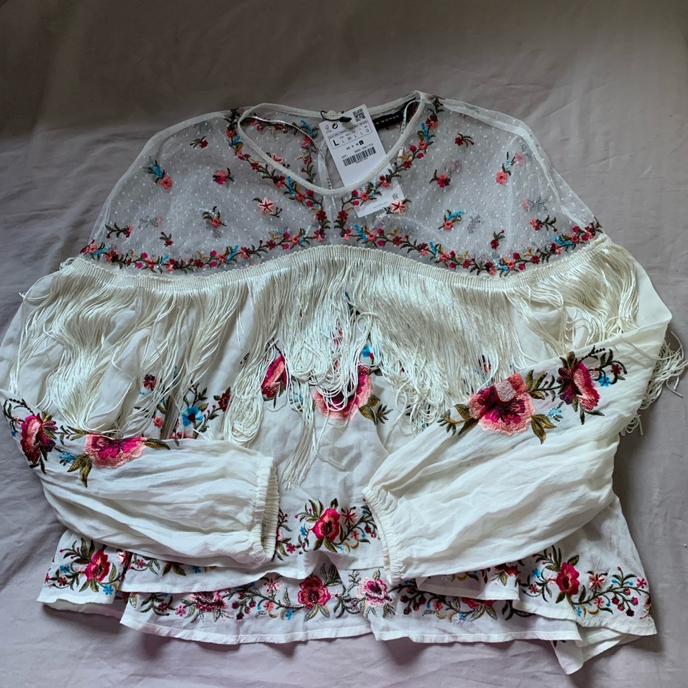 Gorgeous Embroidered Zara Top ✨✨